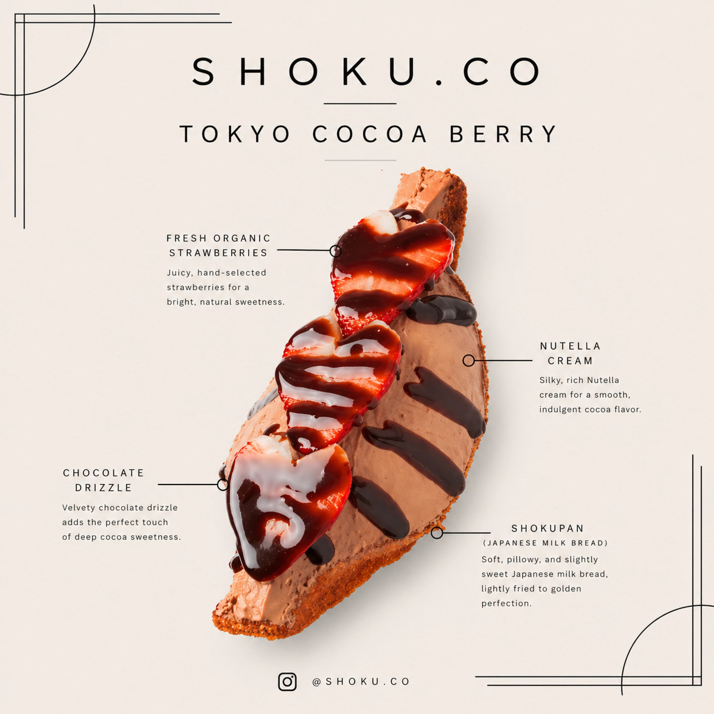 Tokyo Cocoa Berry sando